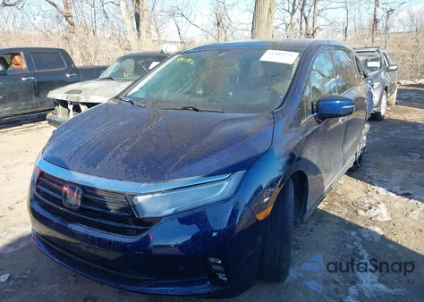 2024 Honda Odyssey Elite из США, поврежденный, VIN 5FNRL6H92RB013531